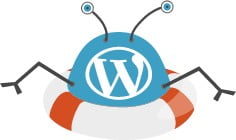 Weepie Cookie Allow for WordPress review